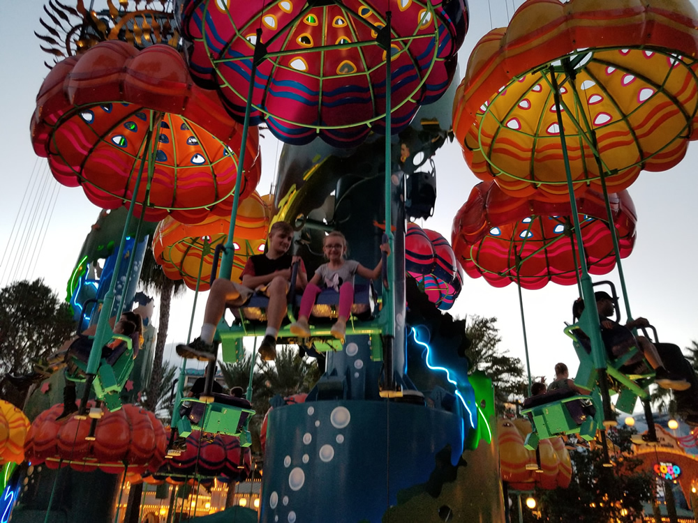 Jumping Jellyfish?